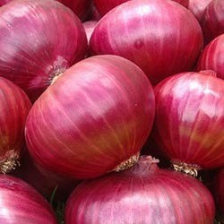 Fresh red onions